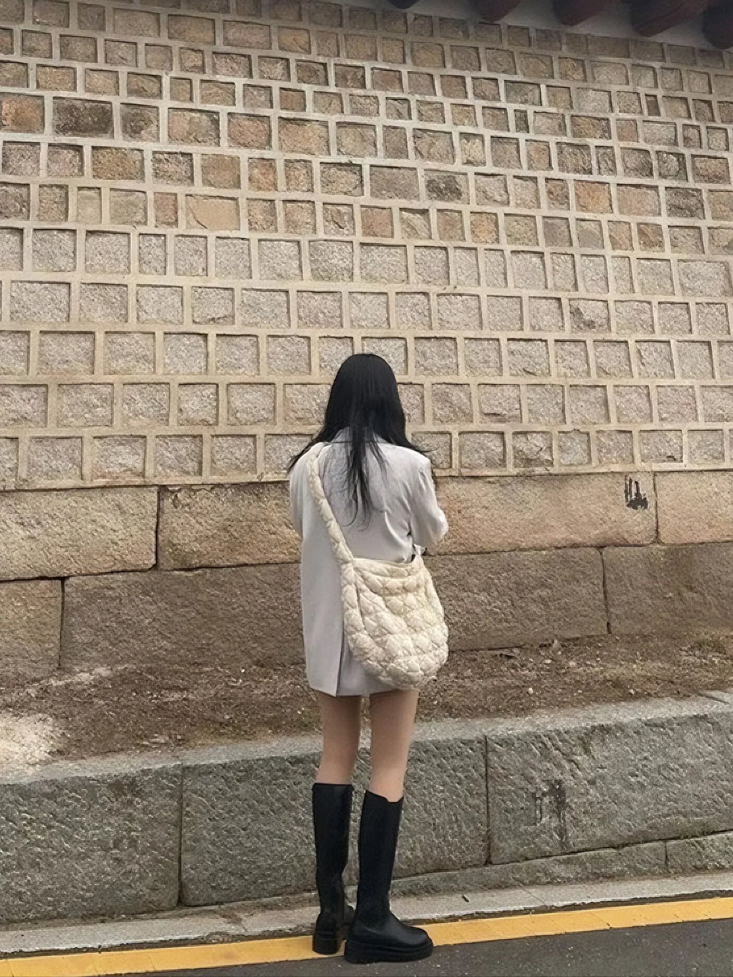 Shoulder Pleated bag